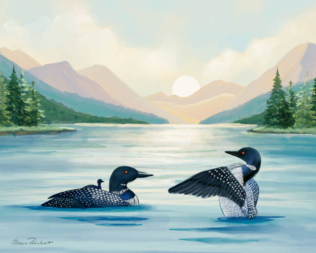 Loons, Adirondack Park, NY Sunset, Hand Painted Illustration - Fine Art Print - Made in the USA - Image 3