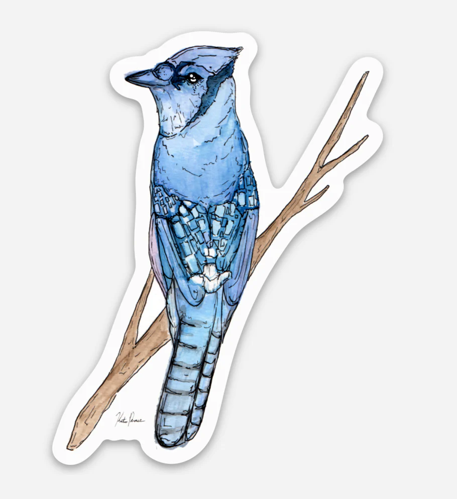 Blue Jay Sticker - Image 1