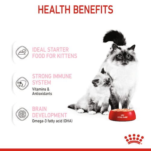 Royal Canin Mother & Babycat Mousse karma mokra - mus dla kociąt i kotek karmiących puszka 195g - Image 3