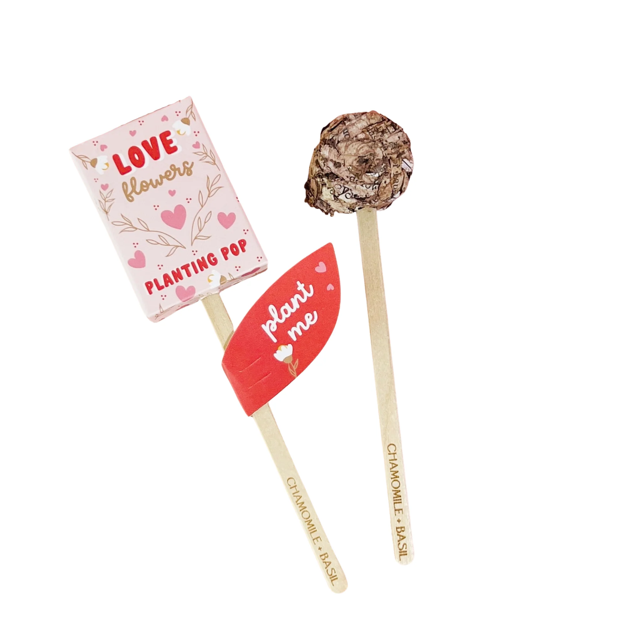 Love Flowers Garden + Gift Seed Planting Pop - Image 1