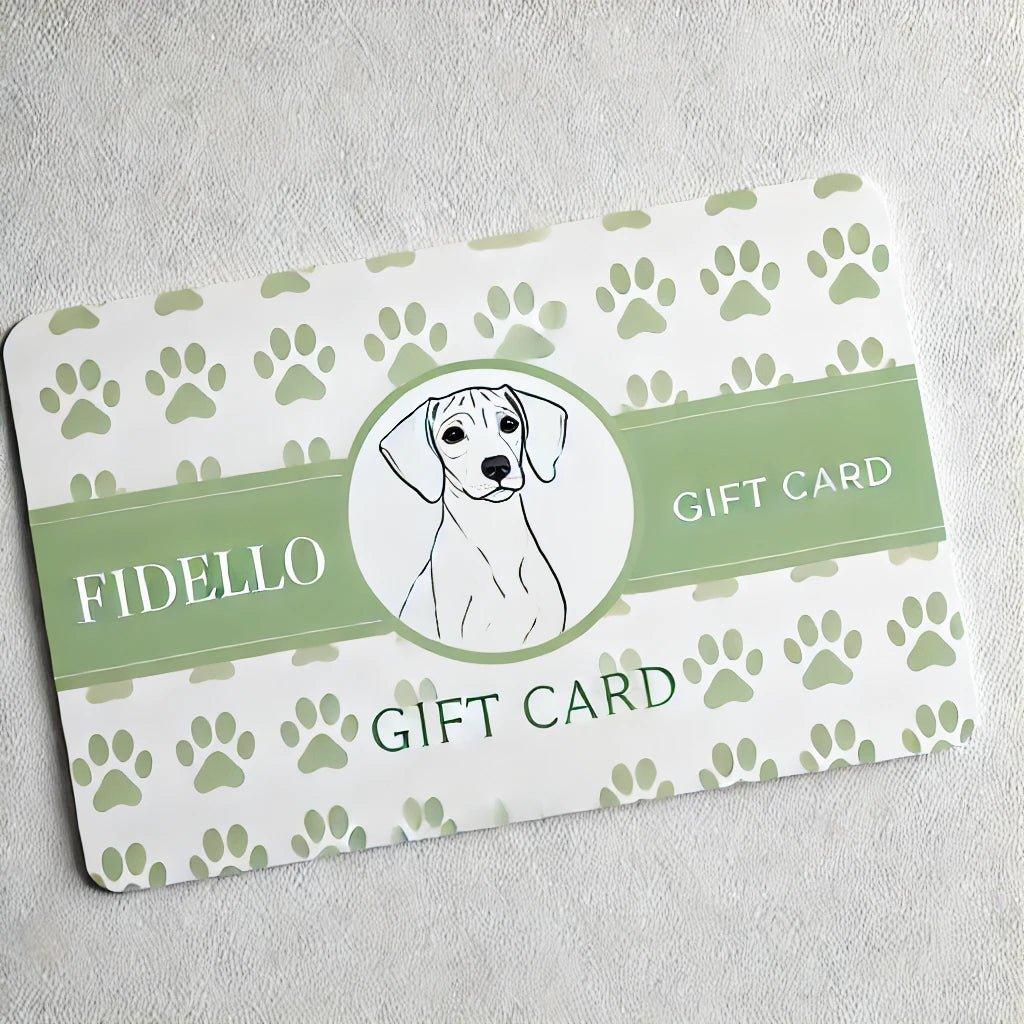 Fidello gift card – 25 euros