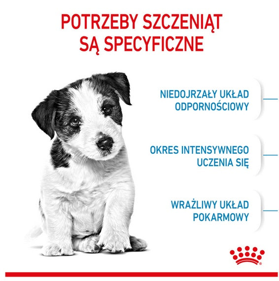 Royal Canin Mini Puppy karma sucha dla szczeniąt, od 2 do 10 miesiąca życia, ras małych 4kg - Image 2