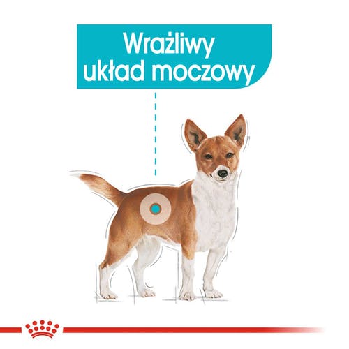 Royal Canin Urinary Care karma mokra dla psów dorosłych, wszystkich ras, wspierająca układ moczowy, pasztet saszetka 85g - Image 2