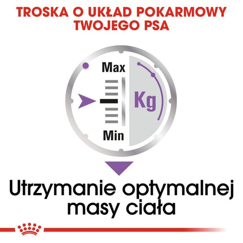 Royal Canin Sterilised karma mokra dla psów dorosłych, wszystkich ras po sterylizacji, pasztet saszetka 85g - Image 3