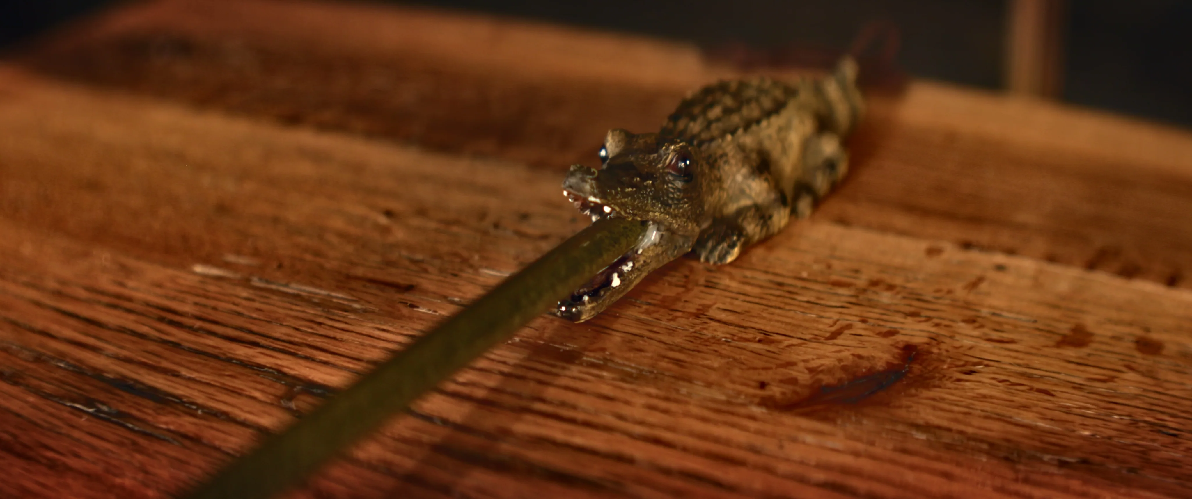 Back Scratcher-Alligator - Image 2