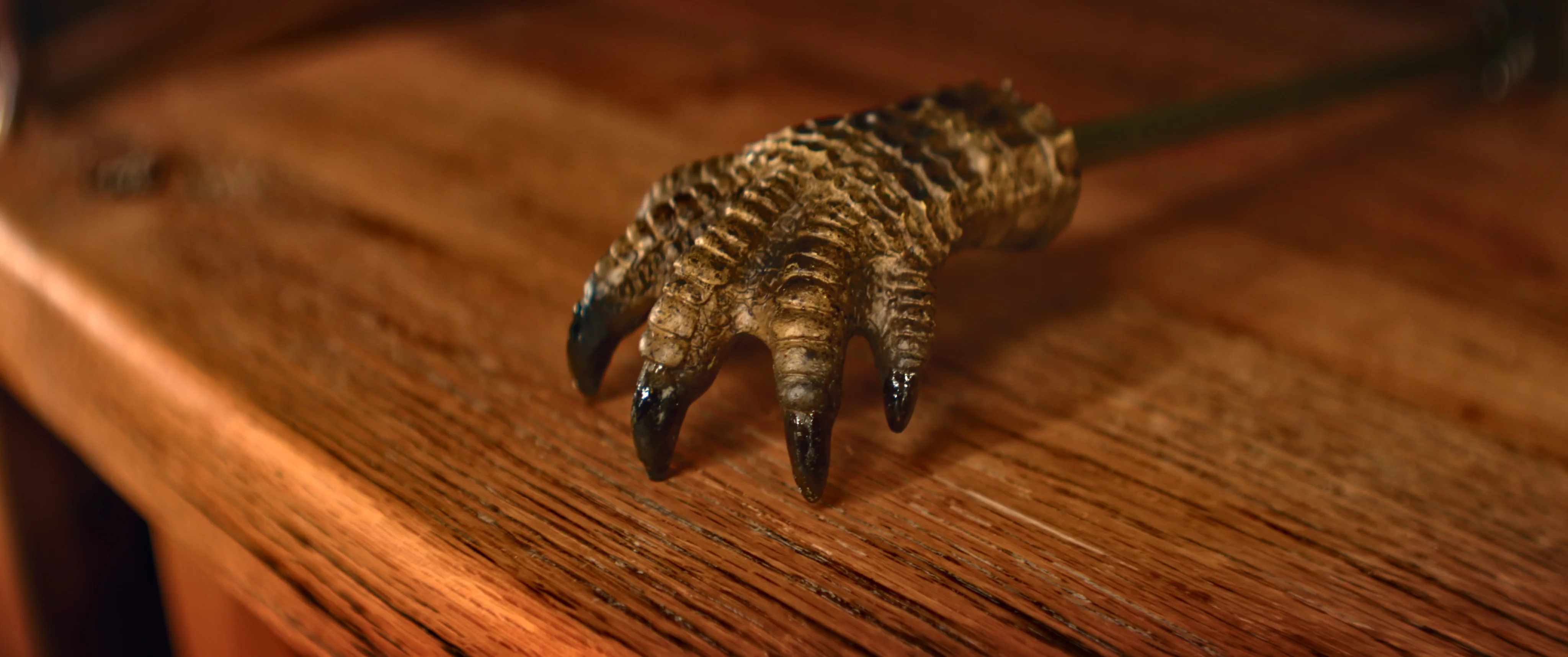 Back Scratcher-Alligator