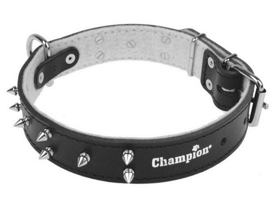 Champion Obroża Skórzana zdobiona [ZD 60/3,5 KOL] - Image 1