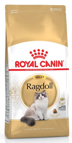 Royal Canin Ragdoll Adult karma sucha dla kotów dorosłych rasy ragdoll 2kg - Image 2
