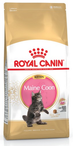 Royal Canin Maine Coon Kitten karma sucha dla kociąt, do 15 miesiąca, rasy maine coon 400g - Image 2