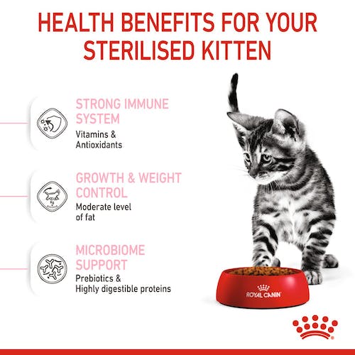 Royal Canin Kitten Sterilised karma sucha dla kociąt od 4 do 12 miesiąca życia, sterylizowanych 2kg - Image 3