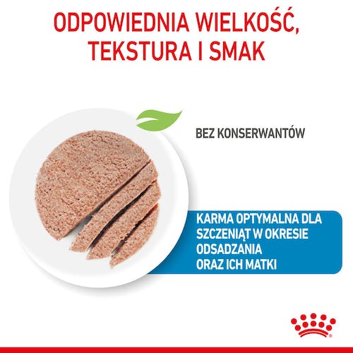 Royal Canin Starter Mother&Babydog karma mokra - mus, dla suk w czasie ciąży, laktacji oraz szczeniąt puszka 195g - Image 3