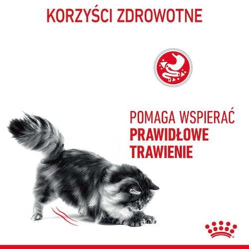 Royal Canin Digestive Care karma mokra w sosie dla kotów dorosłych, wrażliwy przewód pokarmowy saszetka 85g - Image 3