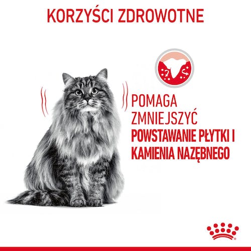 Royal Canin Dental Care karma sucha dla kotów dorosłych, redukująca odkładanie kamienia nazębnego 1,5kg - Image 3