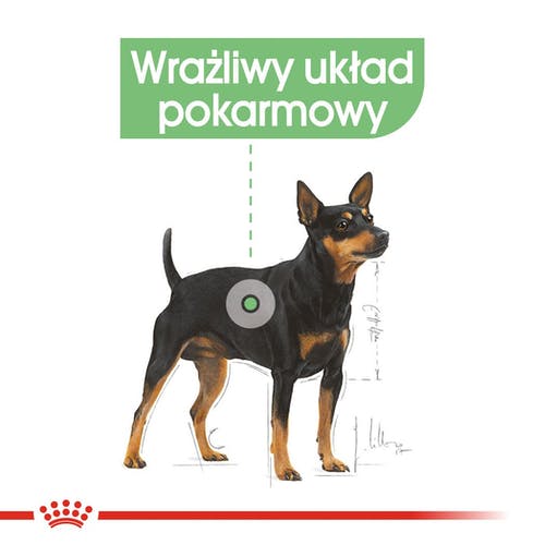 Royal Canin Digestive Care karma mokra dla psów dorosłych, wszystkich ras o wrażliwym przewodzie pokarmowym saszetka 85g - Image 2