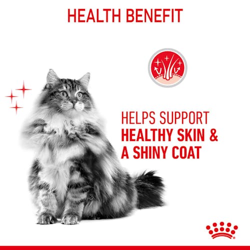 Royal Canin Hair & Skin Care w sosie  karma mokra dla kotów dorosłych, zdrowa skóra, piękna sierść saszetka 85g - Image 3