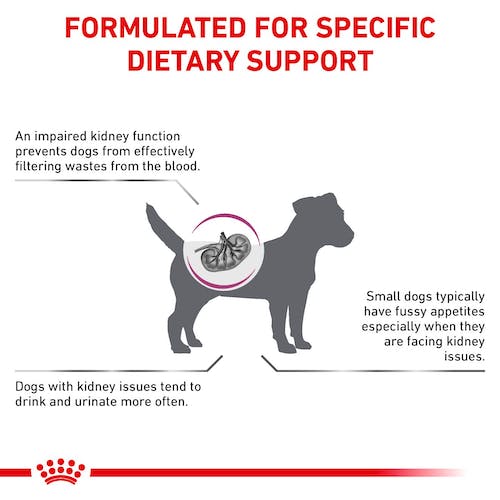 Royal Canin Veterinary Diet Canine Renal Small Dog 500g - Image 2
