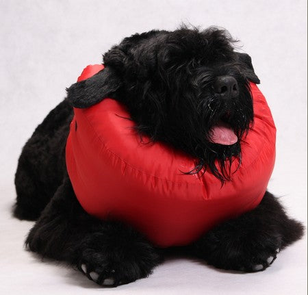 Grande Finale Kołnierz pooperacyjny rozmiar 6 [WET/K/6] - Image 2