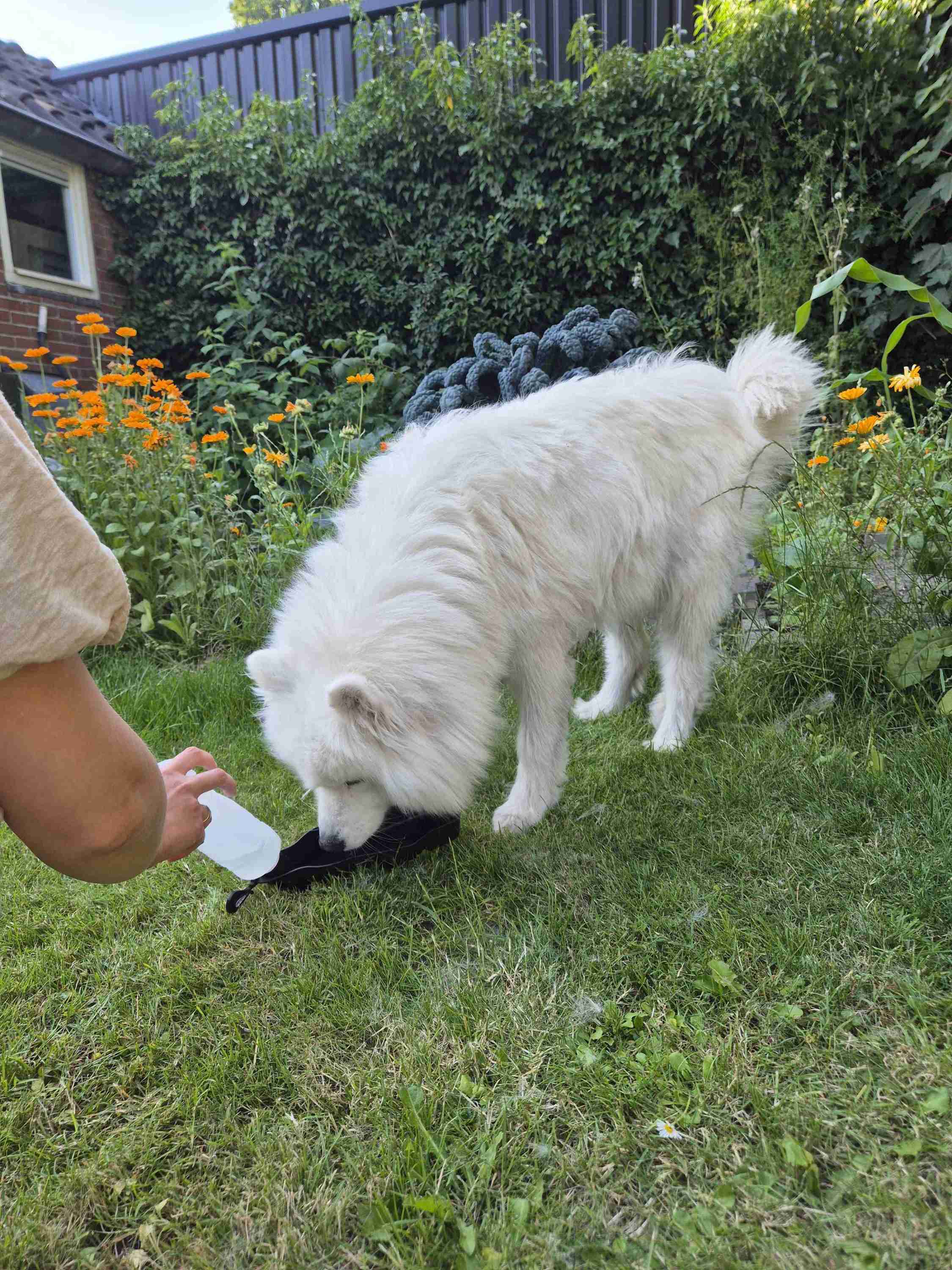 Petgear Travel Water Bottle – Water bottle and water bowl in one for on the go - Image 2
