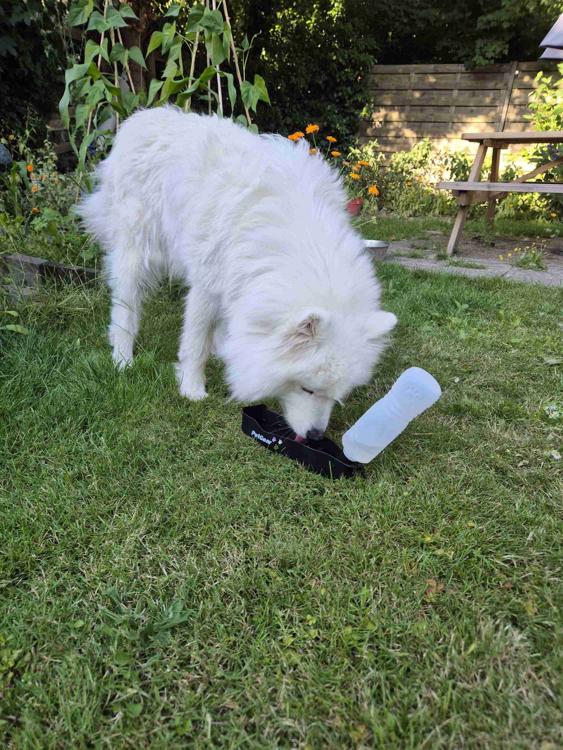 Petgear Travel Water Bottle – Water bottle and water bowl in one for on the go - Image 3