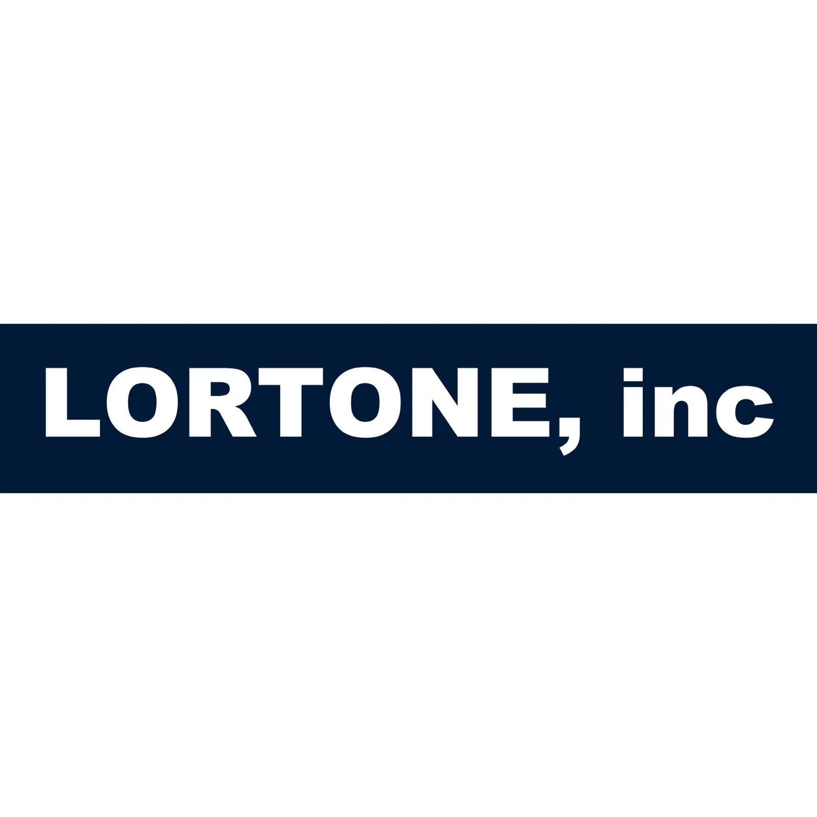 Lortone Stainless Steel Ball & Pin Shot Mix 1 lb for Tumbling Jewelry - Image 2